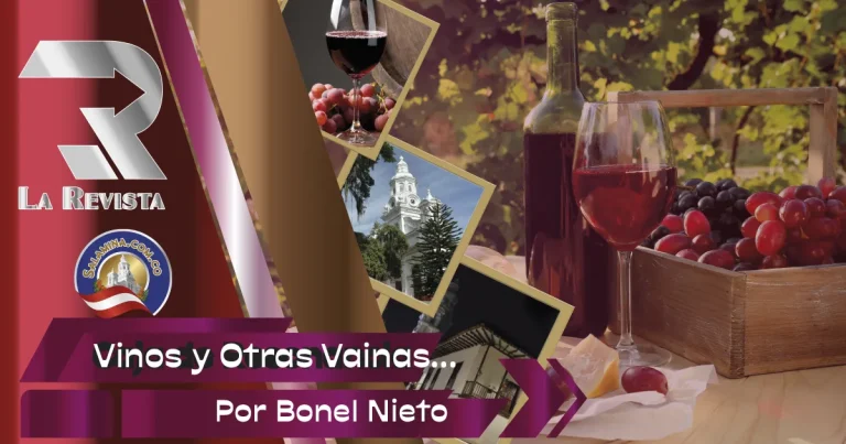 El Vino y otras…: La Experiencia de escribir un primer libro