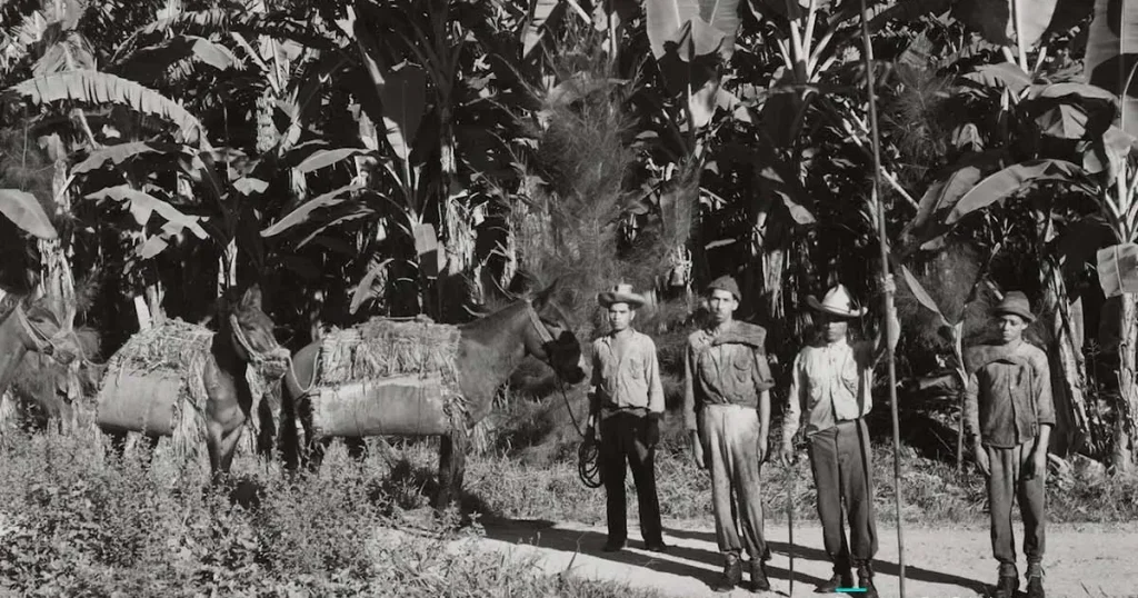 La Masacre de las Bananeras