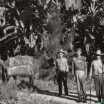 La Masacre de las Bananeras