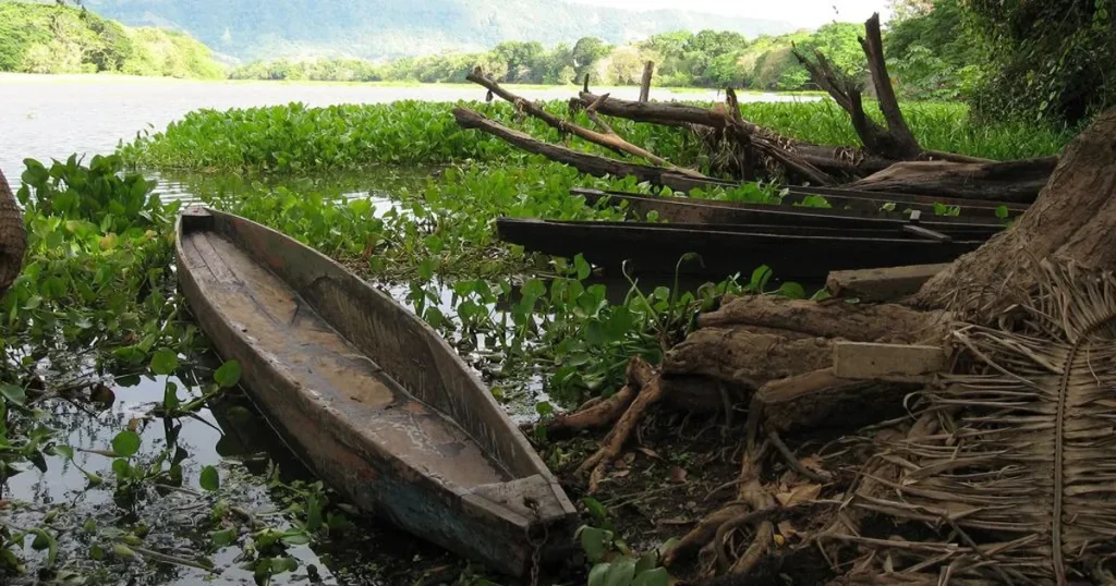 Canoas varadas en el río Magdalena rodeadas de vegetación, símbolo del abandono hídrico en La Dorada.