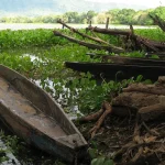 Canoas varadas en el río Magdalena rodeadas de vegetación, símbolo del abandono hídrico en La Dorada.