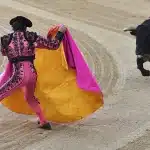 Corrida de Toros