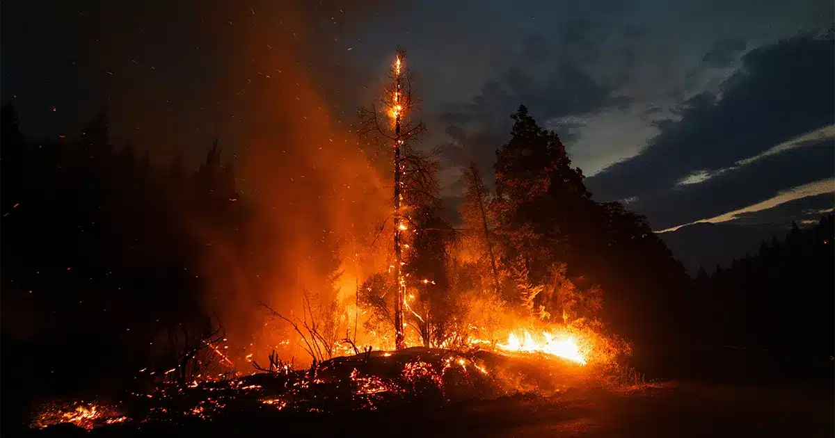 Incendios forestales en la Patagonia