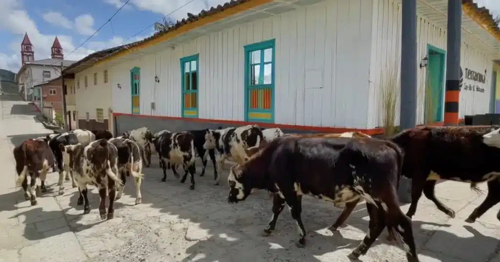 Calles de San Félix