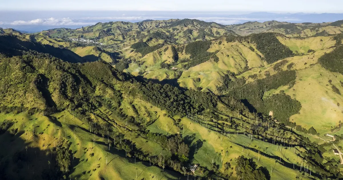 Paisaje rural de San Félix con cultivos y ganado normando