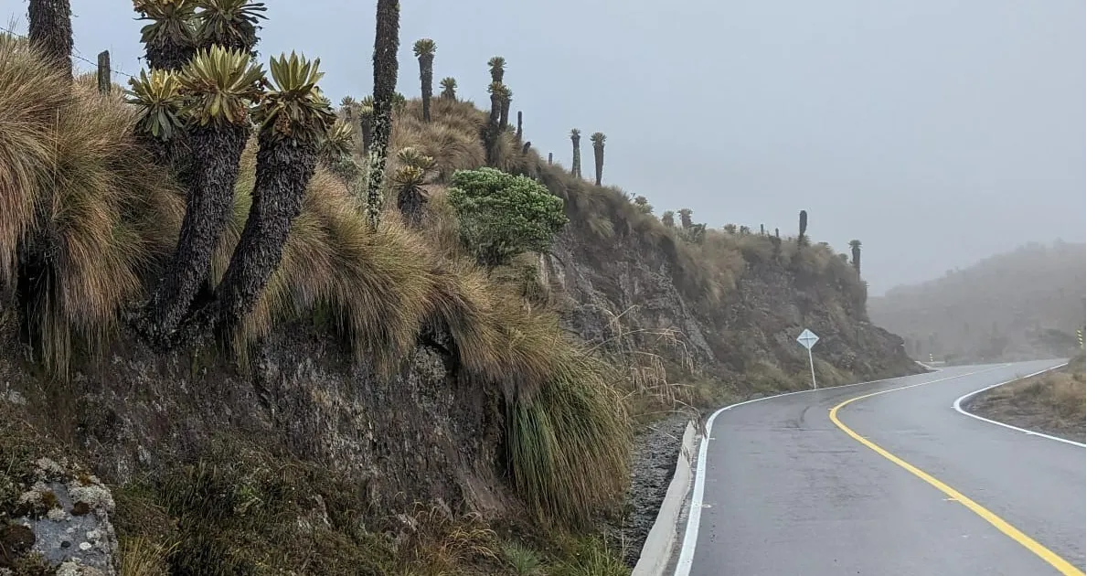 Carretera de la vía Manizales Murillo atravesando un paisaje de páramo con frailejones y el Nevado del Ruiz al fondo.